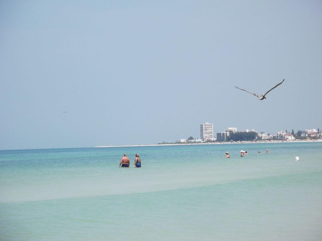 2Br/1Ba Vacation Rental - Sienna Park Sarasota Luaran gambar
